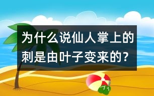 為什么說(shuō)仙人掌上的刺是由葉子變來(lái)的？