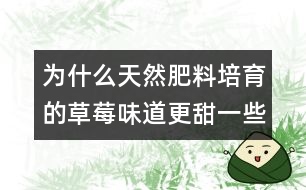 為什么天然肥料培育的草莓味道更甜一些？