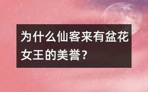 為什么仙客來有“盆花女王”的美譽？