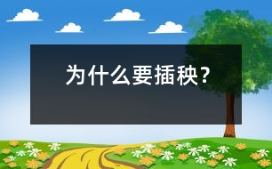 為什么要插秧？