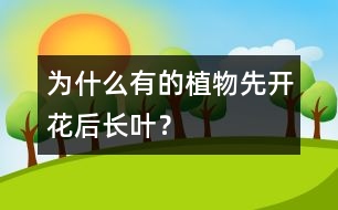 為什么有的植物先開花后長葉？