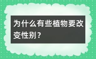 為什么有些植物要改變性別？