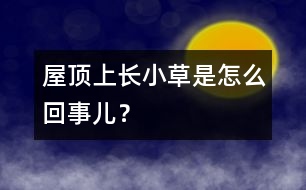 屋頂上長小草是怎么回事兒？