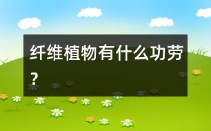 纖維植物有什么功勞？