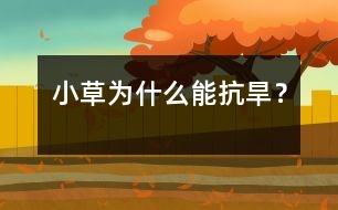 小草為什么能抗旱？