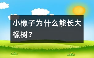 小橡子為什么能長大橡樹？