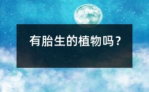 有胎生的植物嗎？