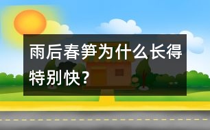 雨后春筍為什么長(zhǎng)得特別快？