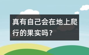 真有自己會在地上爬行的果實嗎？
