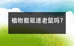 植物能驅(qū)逐老鼠嗎？