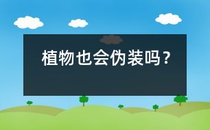 植物也會(huì)偽裝嗎？