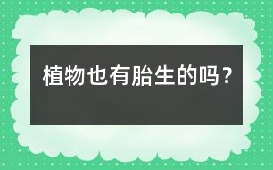 植物也有胎生的嗎？