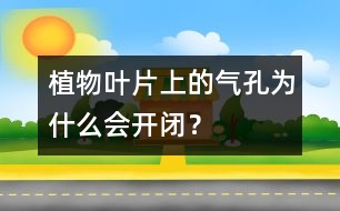 植物葉片上的氣孔為什么會開閉？