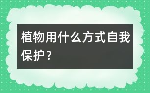 植物用什么方式自我保護？