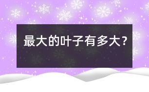 最大的葉子有多大？