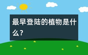 最早登陸的植物是什么？