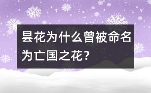 曇花為什么曾被命名為“亡國之花”？