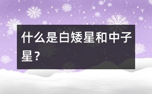 什么是白矮星和中子星？
