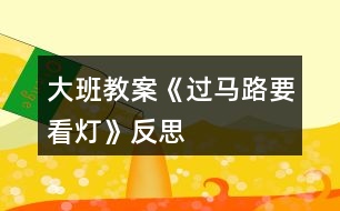大班教案《過(guò)馬路要看燈》反思