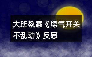 大班教案《煤氣開關(guān)不亂動(dòng)》反思