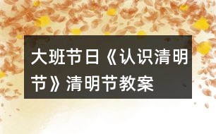 大班節(jié)日《認(rèn)識清明節(jié)》清明節(jié)教案