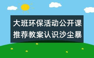 大班環(huán)?；顒?dòng)公開(kāi)課推薦教案：認(rèn)識(shí)沙塵暴