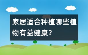 家居適合種植哪些植物有益健康？