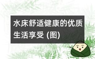 水床：舒適、健康的優(yōu)質(zhì)生活享受 (圖)