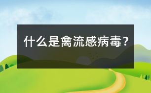 什么是禽流感病毒？