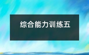 綜合能力訓(xùn)練五