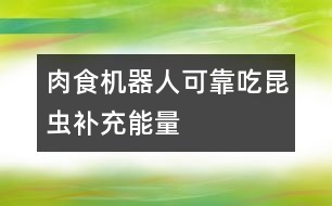 肉食機器人可靠吃昆蟲補充能量