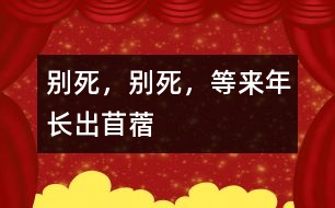 別死，別死，等來年長出苜蓿