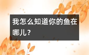 我怎么知道你的魚在哪兒？