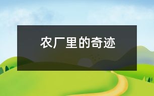 農廠里的奇跡