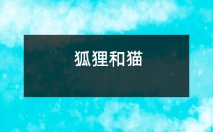狐貍和貓