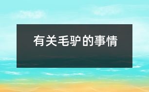 有關毛驢的事情