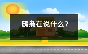 鴟梟在說(shuō)什么？