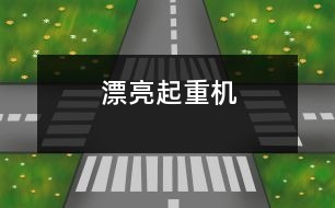 漂亮起重機